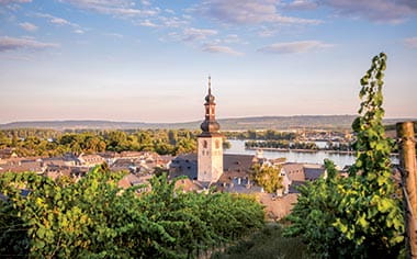 The rooftops and vineyards of Rudesheim 